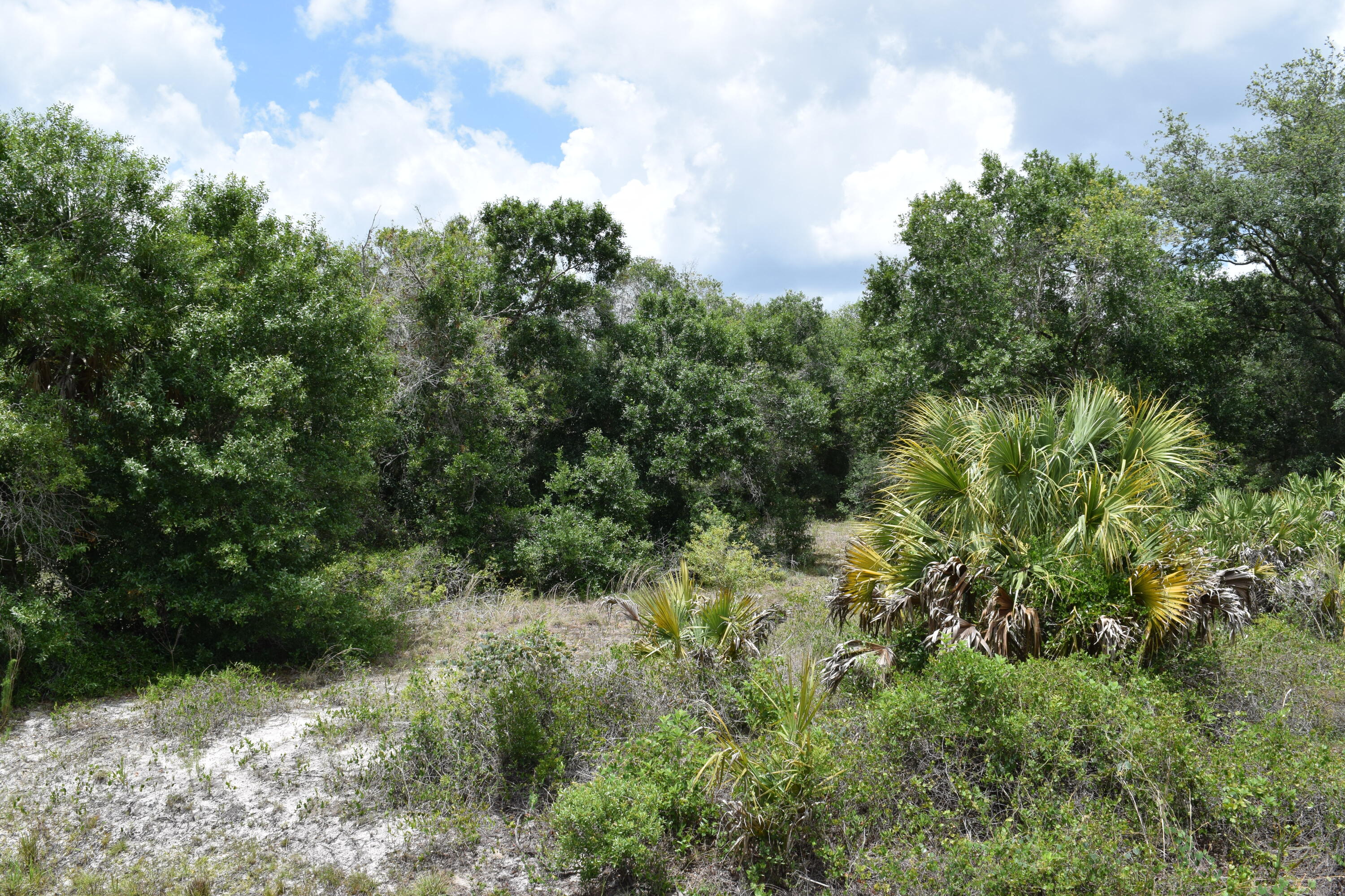 17119 NW 276th Street, Okeechobee, FL 34972, Okeechobee