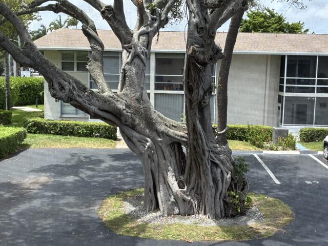 620 Horizon W 202, Boynton Beach, FL 33435, Boynton Beach