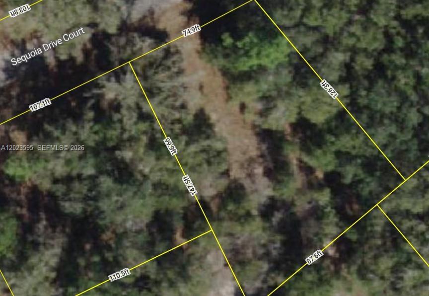 Lot 14 Lot 14 Sequoia Drive Court, Ocala, FL 32179, Ocala