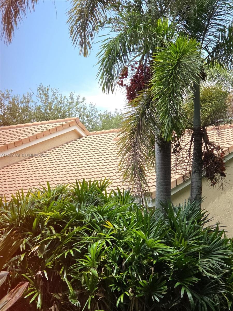 10202 Caracas Street, Cooper City, FL 33026 photo 12