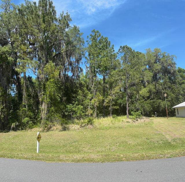 3303 N Canterbury Lake Drive, Hernando, FL 34442, Hernando