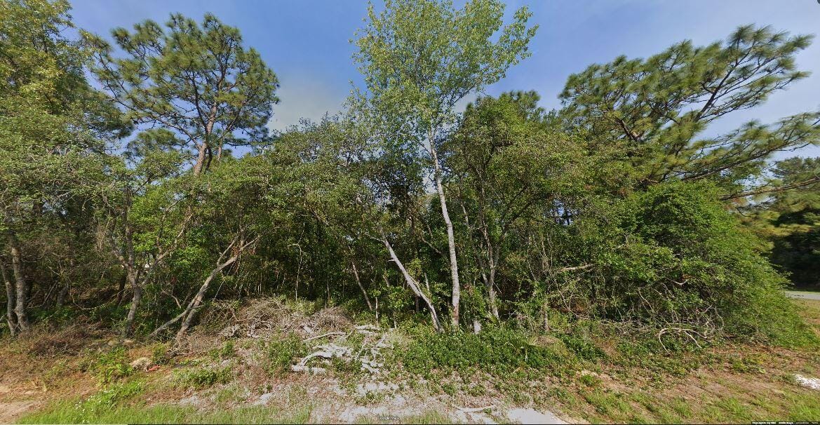 00 SW 133 Loop, Ocala, FL 34473 photo 7