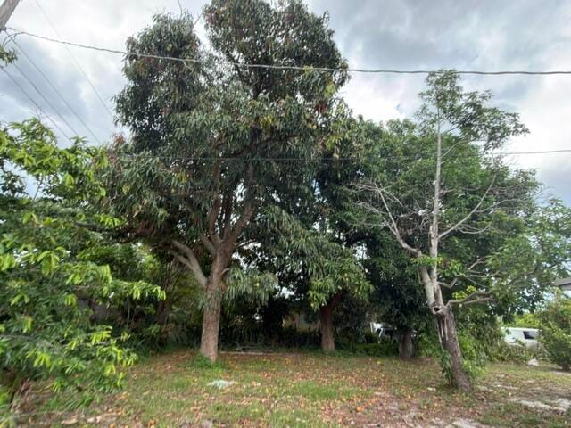 1185 Alto Road, Lake Worth, FL 33462 photo 13