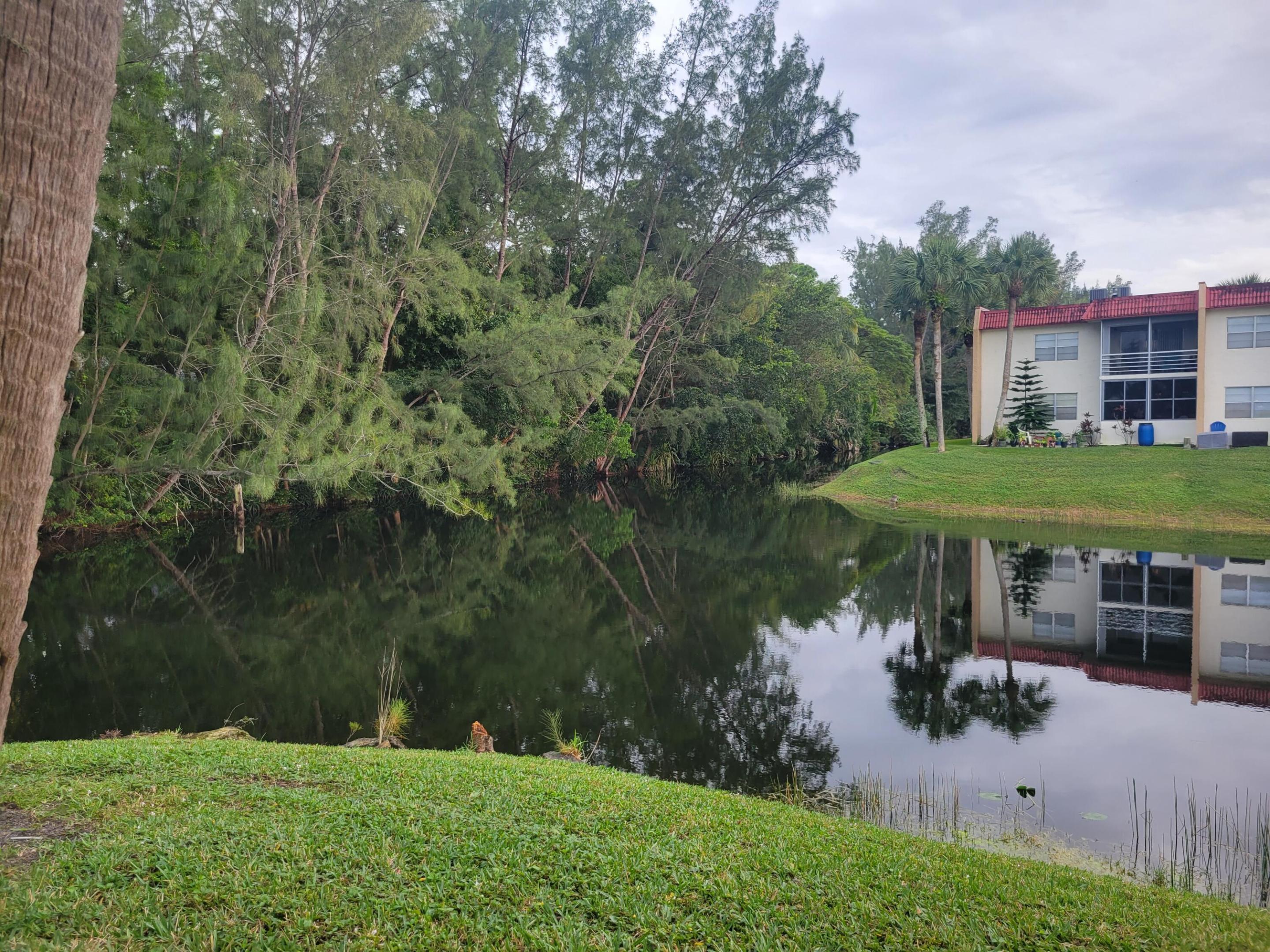 356 Lake Dora Drive, West Palm Beach, FL 33411, West Palm Beach