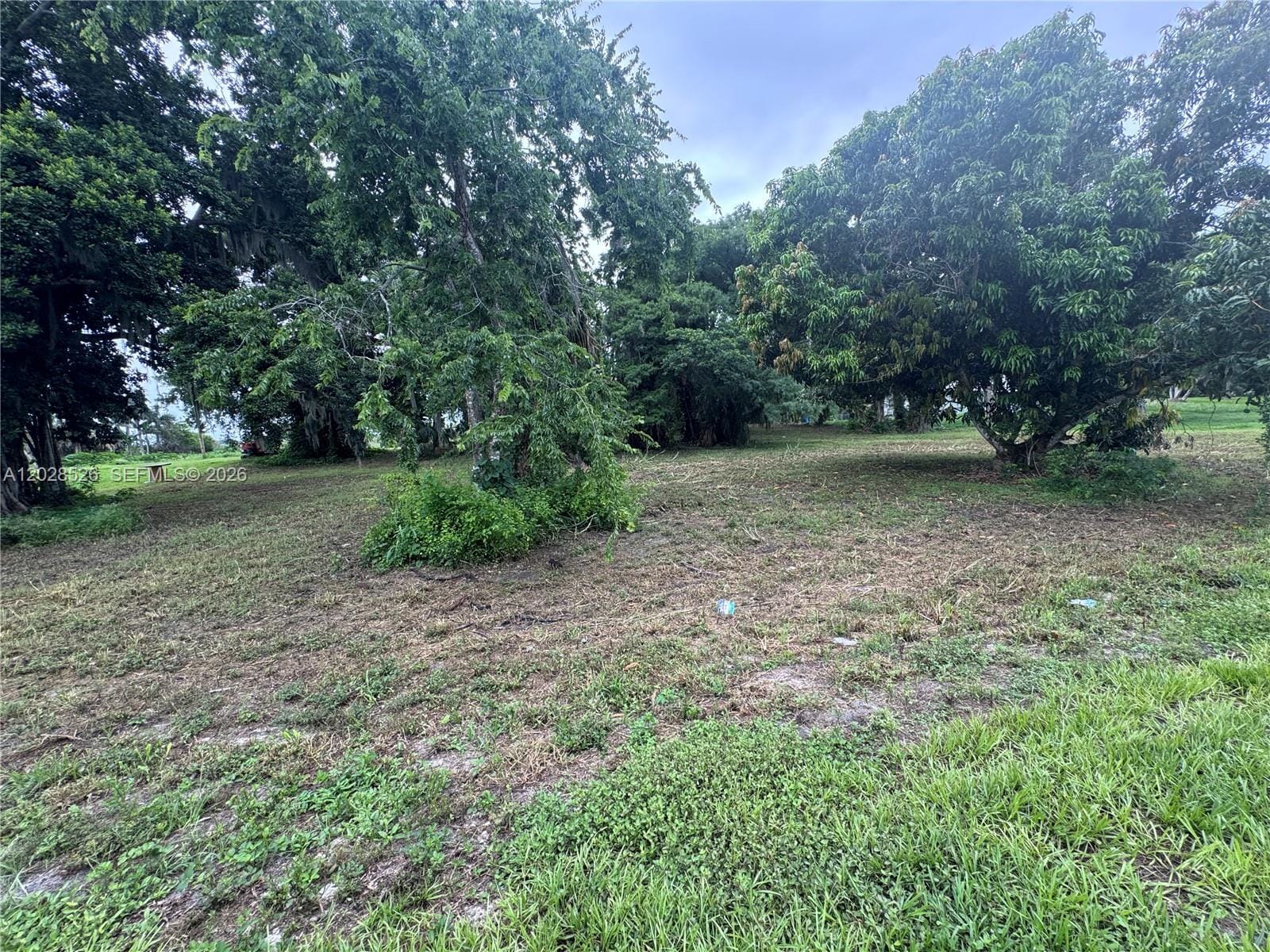 19121 SW Conners Highway, Okeechobee, FL 33438 photo 12