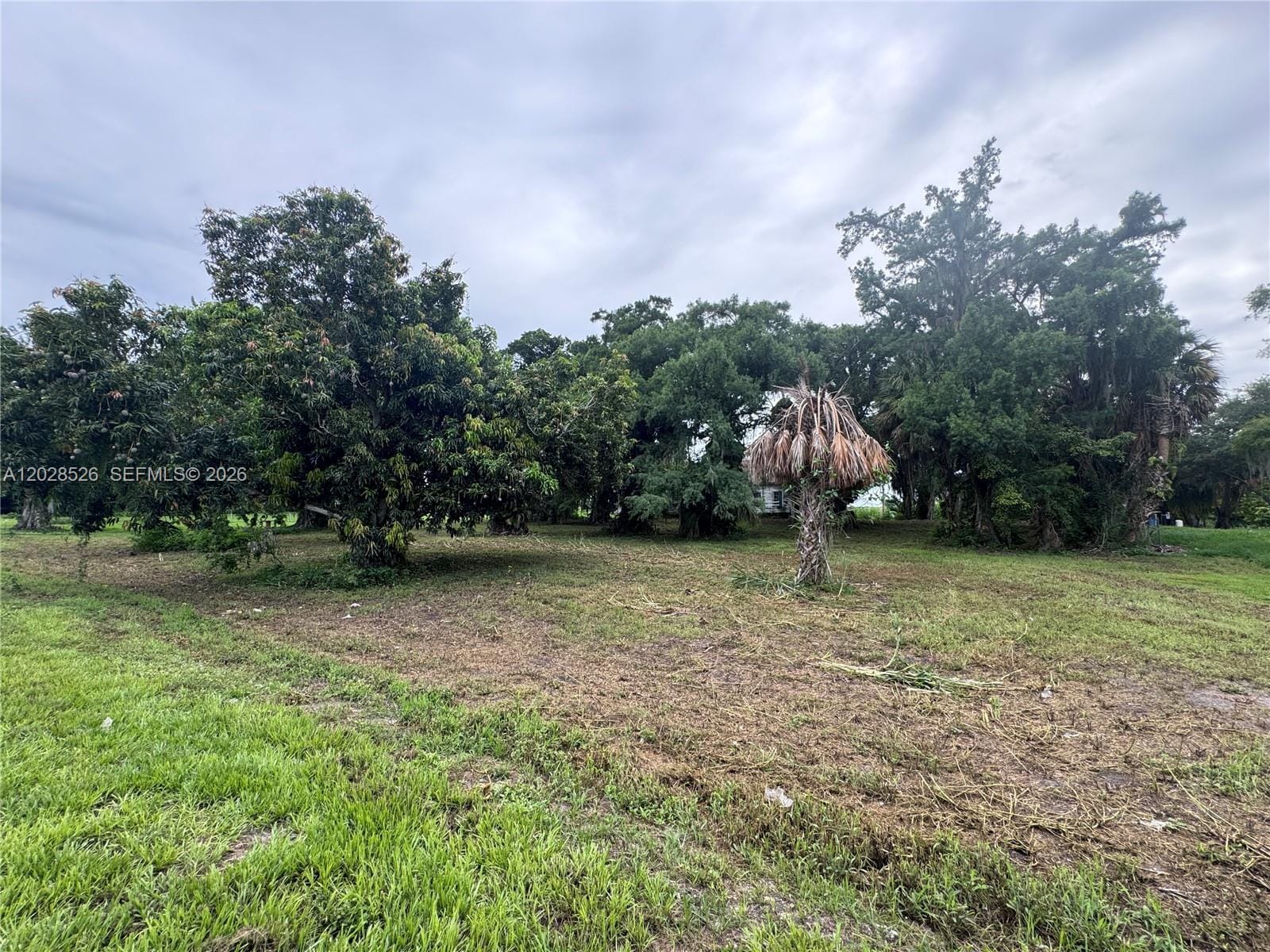 19121 SW Conners Highway, Okeechobee, FL 33438 photo 13