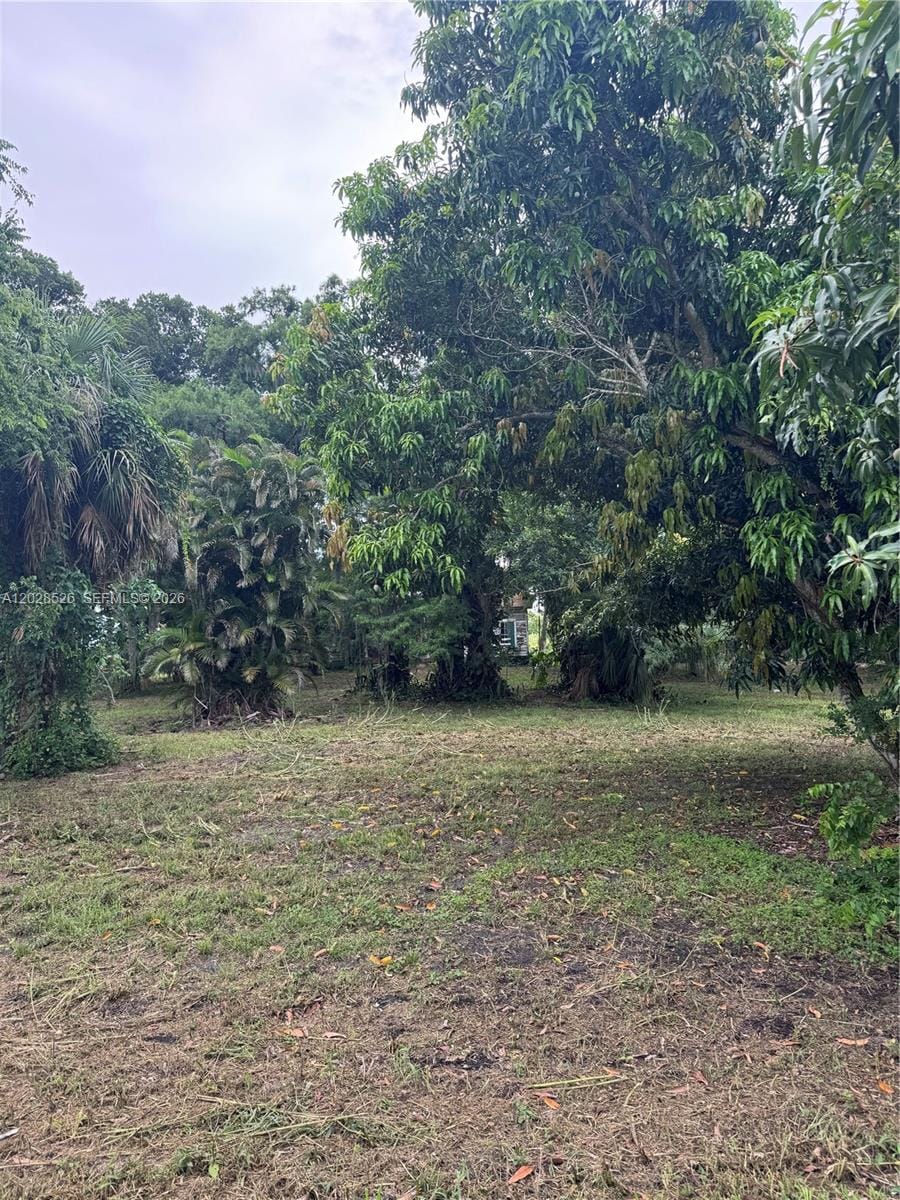 19121 SW Conners Highway, Okeechobee, FL 33438 photo 3