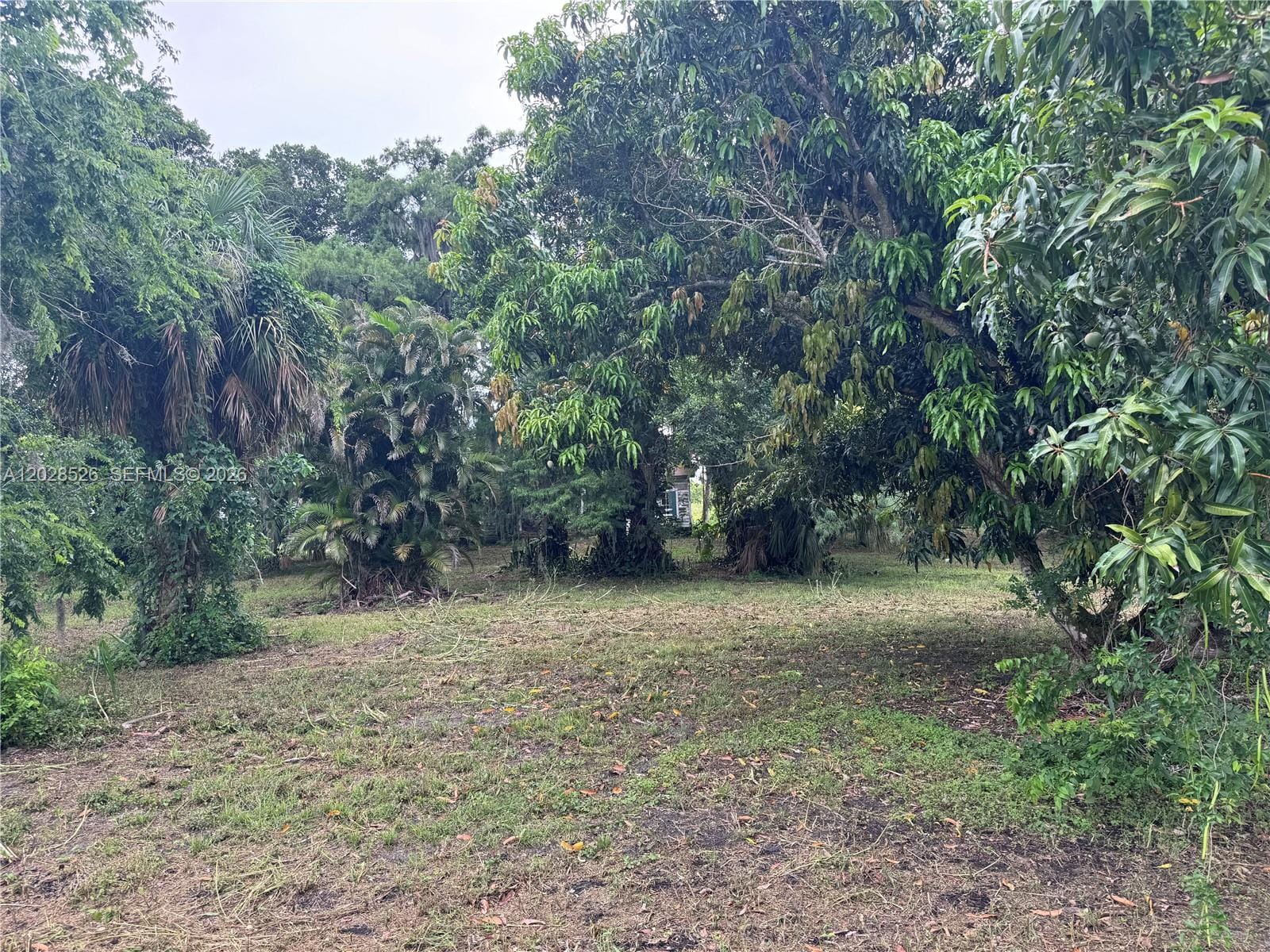 19121 SW Conners Highway, Okeechobee, FL 33438 photo 4