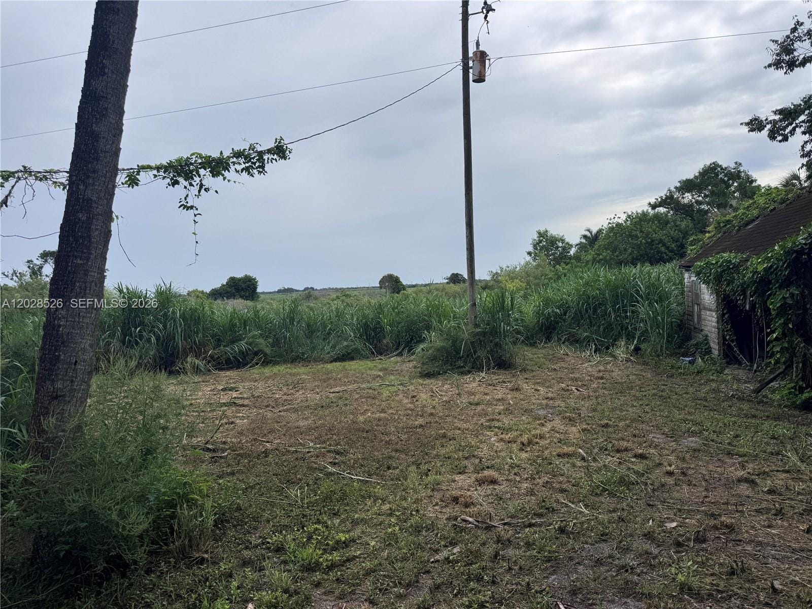 19121 SW Conners Highway, Okeechobee, FL 33438 photo 6