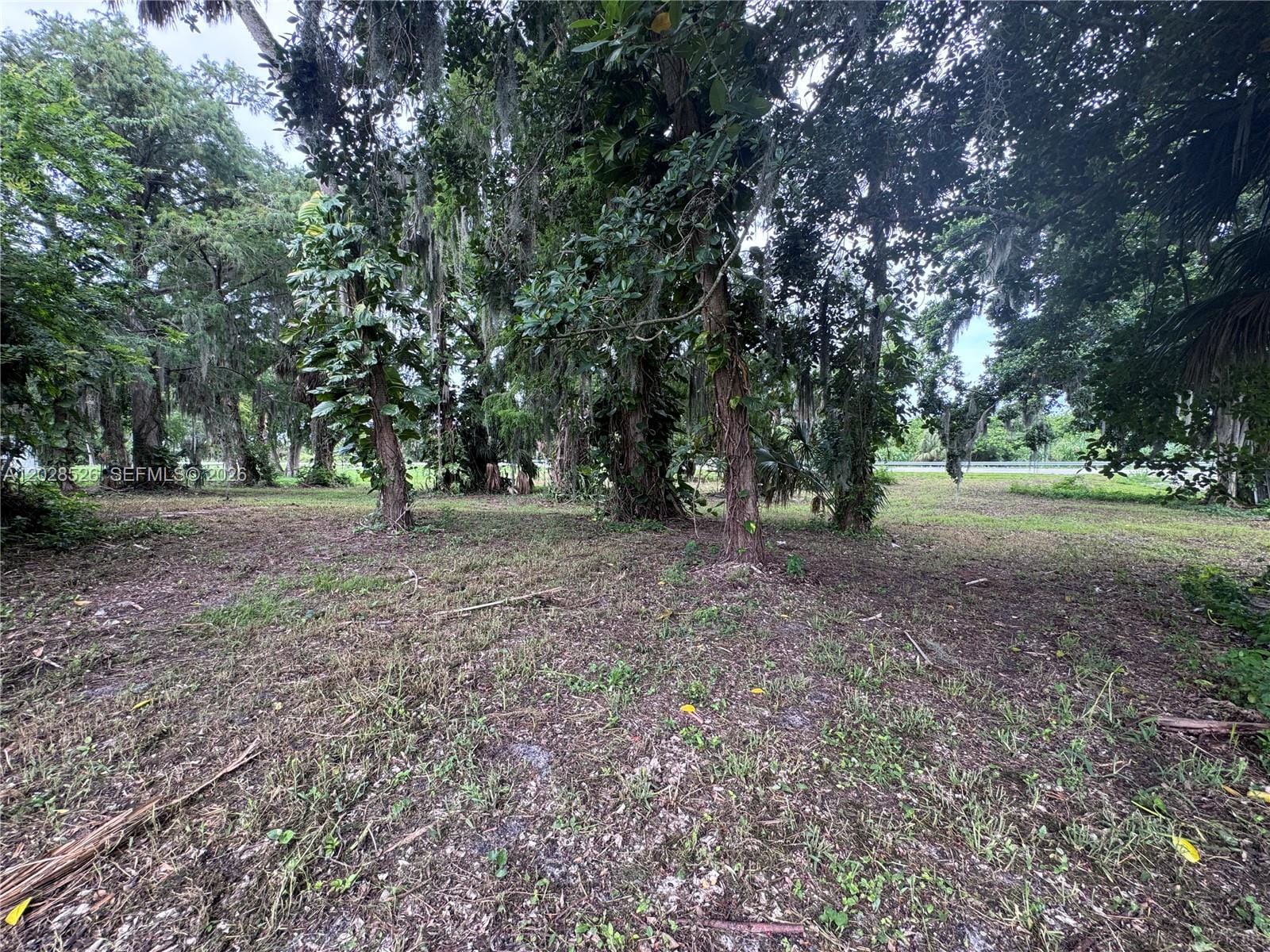 19121 SW Conners Highway, Okeechobee, FL 33438 photo 10