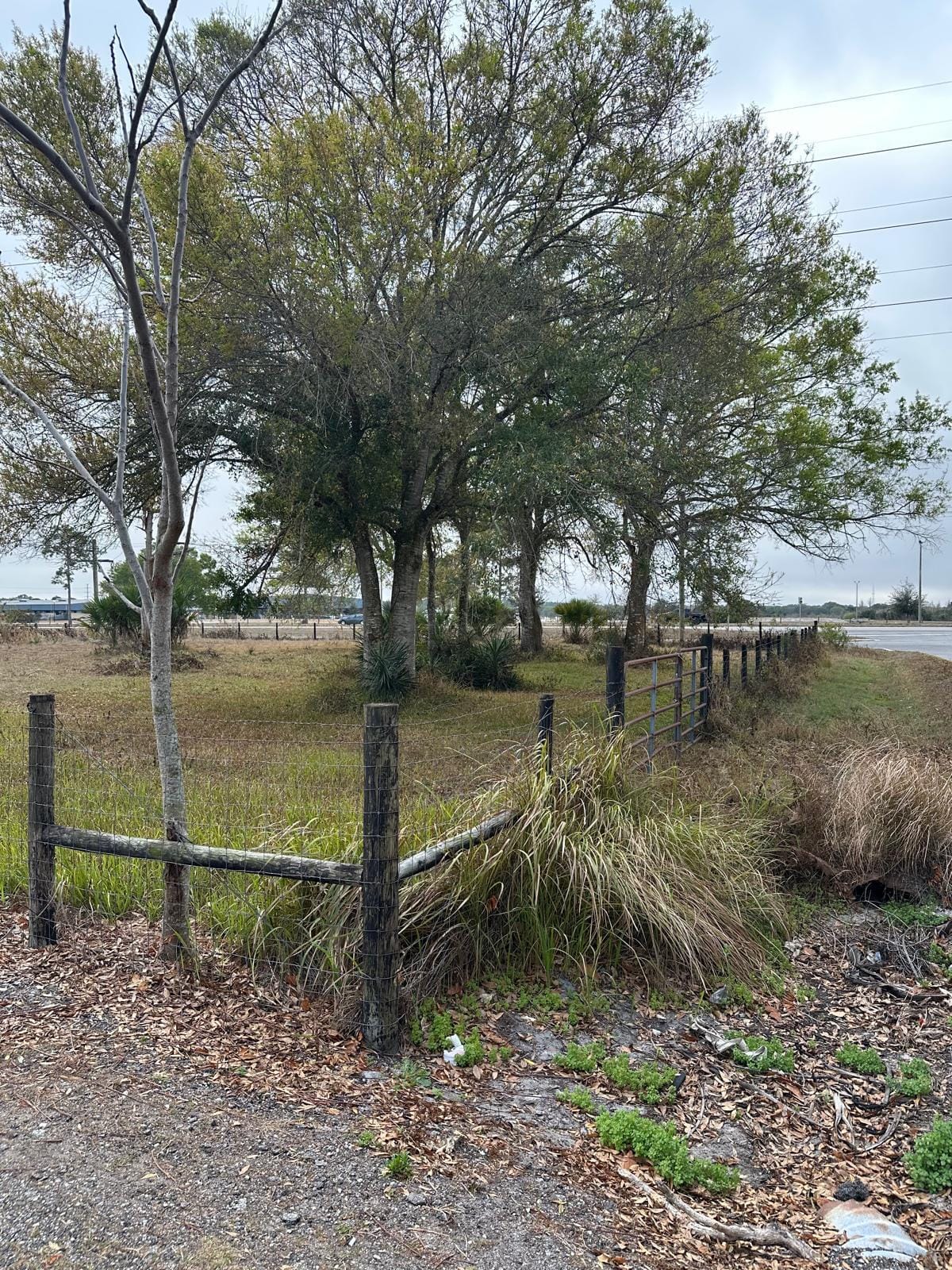 854 NE 42nd Terrace, Okeechobee, FL 34972 photo 7