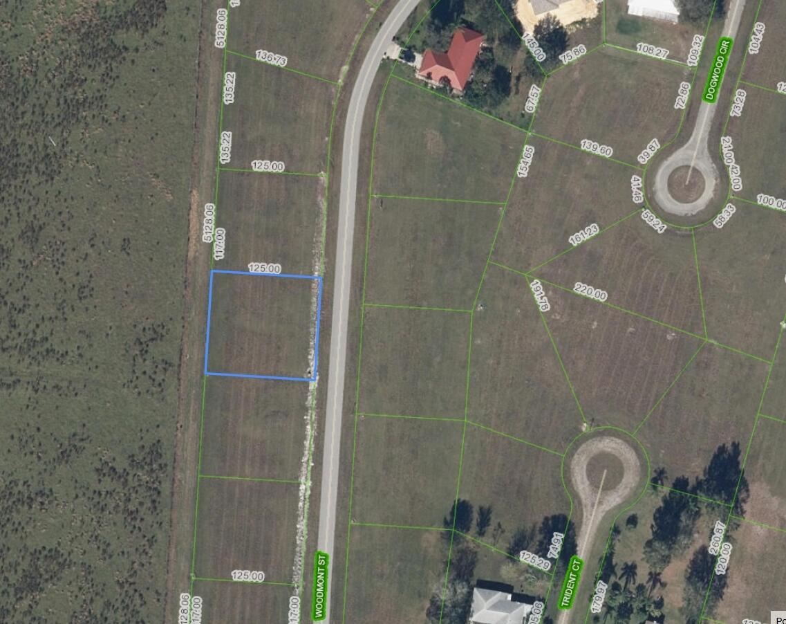 816 Woodmont Street, Sebring, FL 33876, Sebring