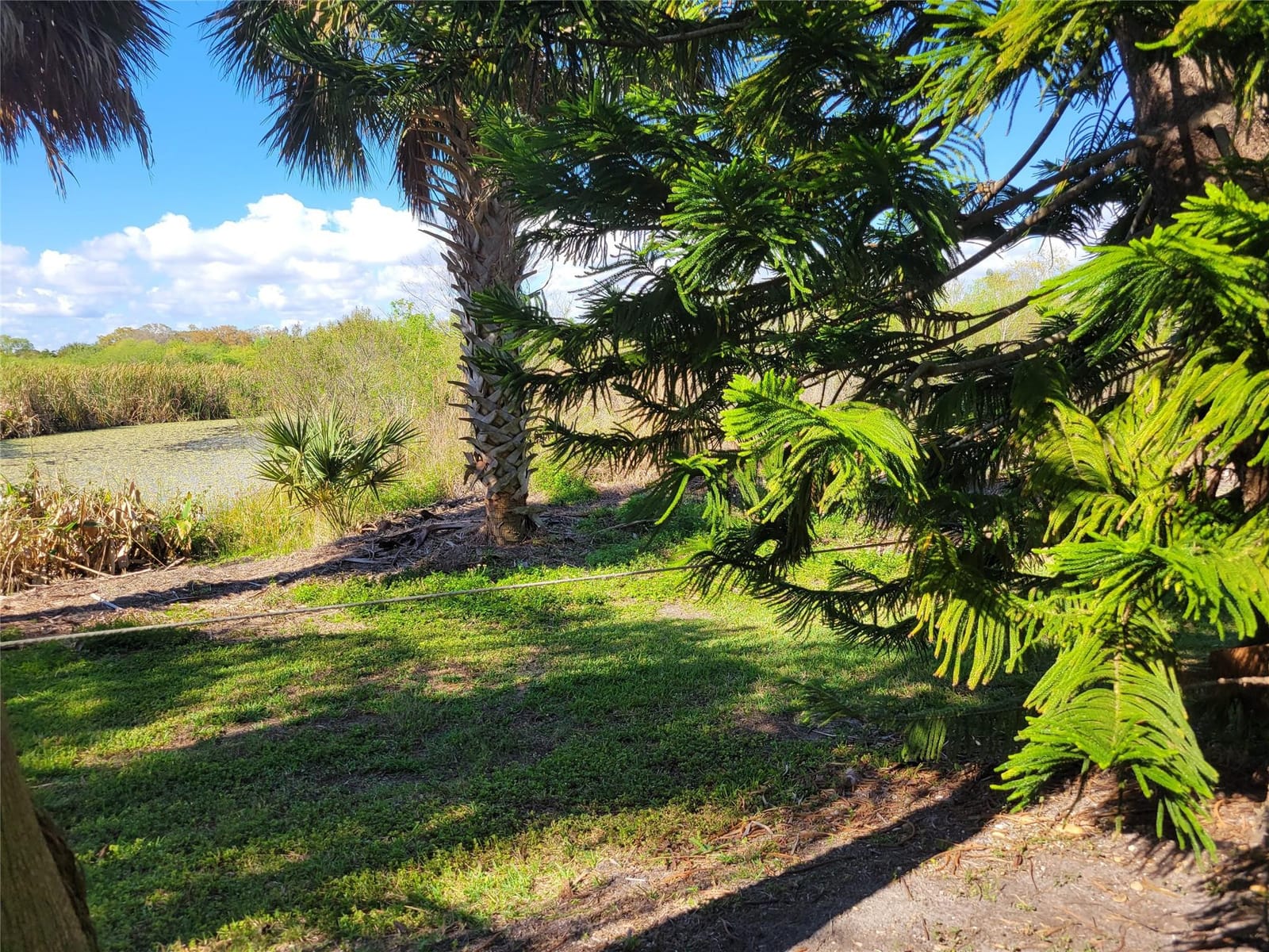 3755 SE 6th Glen, Okeechobee, FL 34974 photo 12