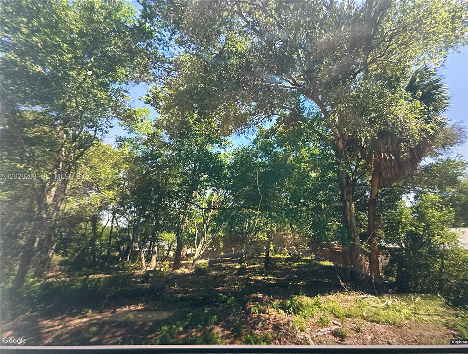 4043 E Dano, Inverness, FL 34453, Inverness