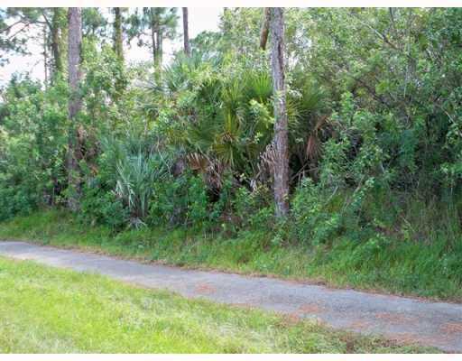 Xx Sycamore Drive W, FL 33470, Loxahatchee