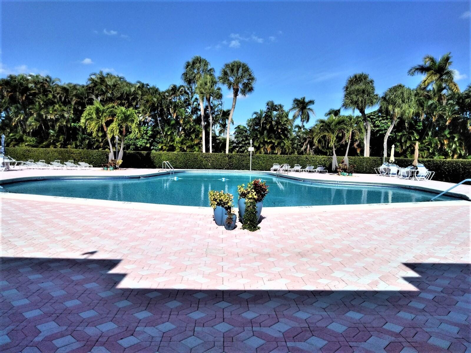 2854 E Ashley Dr Drive E B, West Palm Beach, FL 33415 photo 23