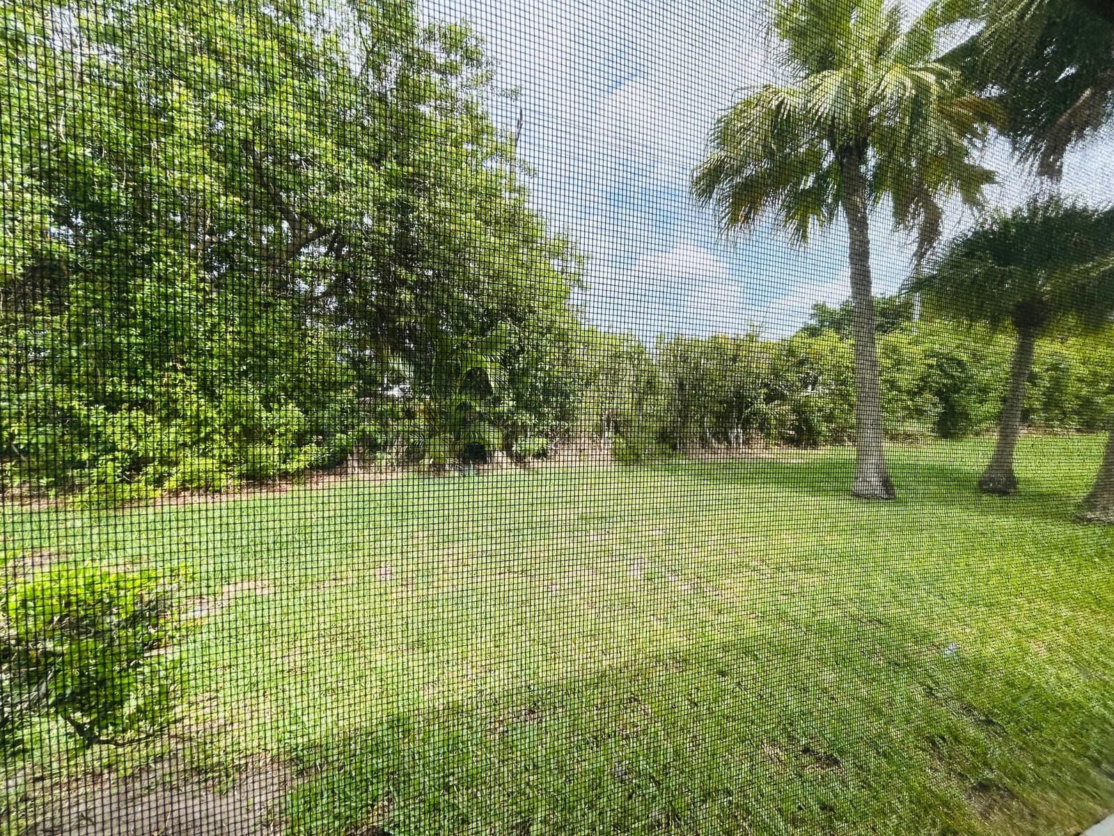 2854 E Ashley Dr Drive E B — photo 8