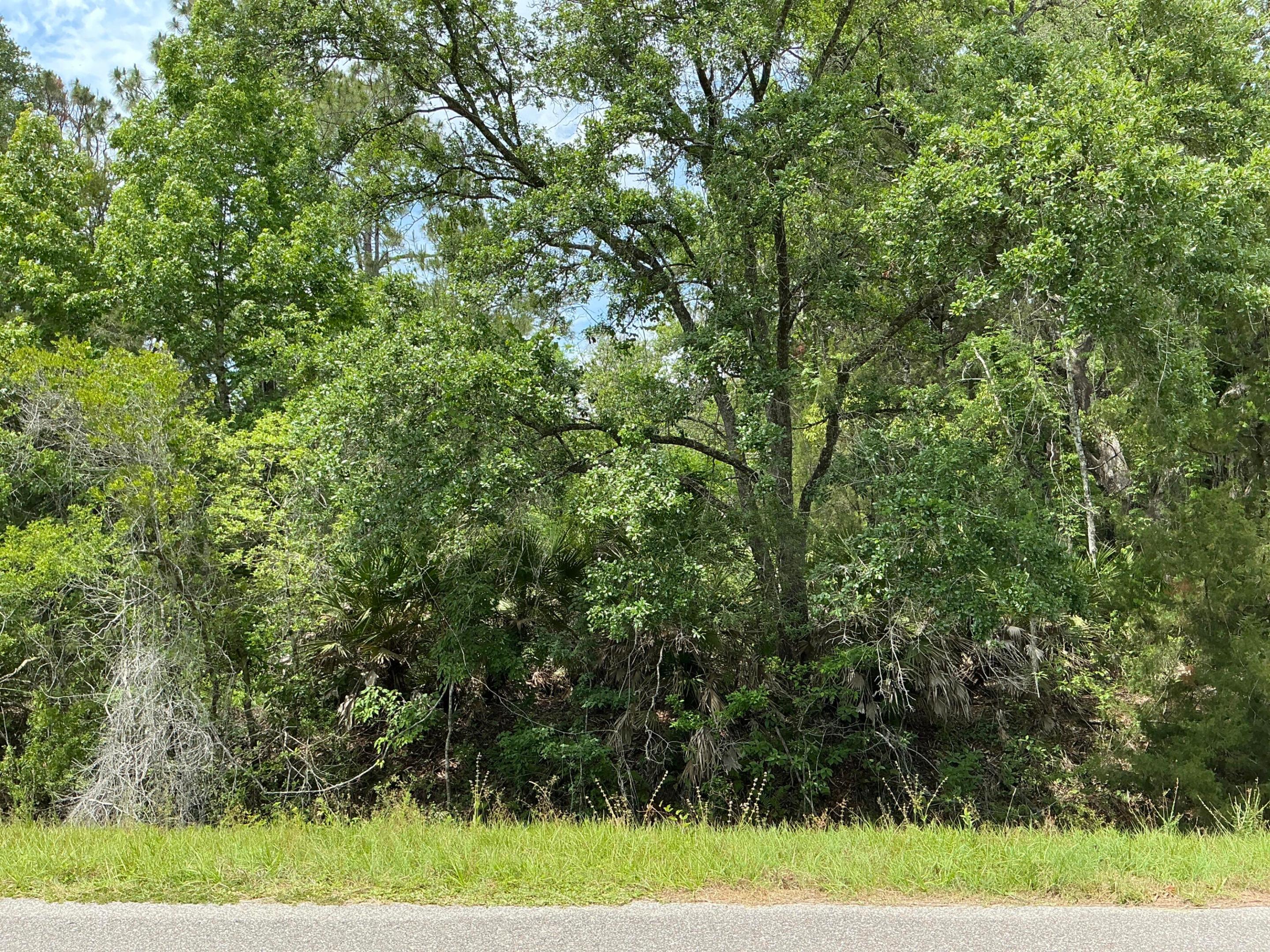 5020 Stephen Street, Hastings, FL 32145, Hastings