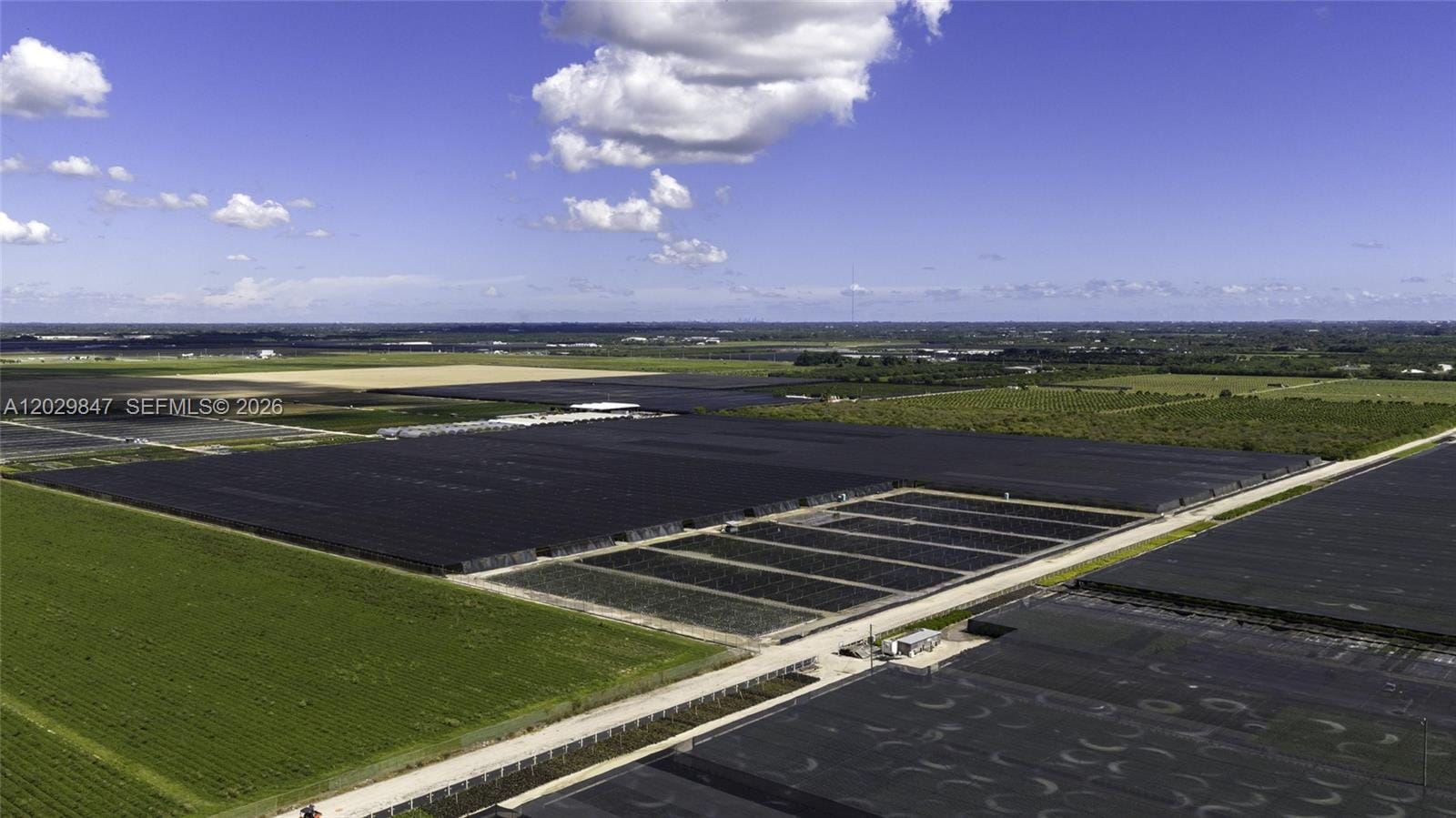 75 Acres Of Improved Agricultural Land For Sale — photo 5