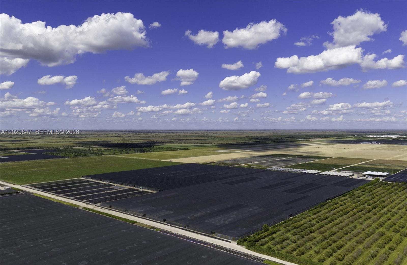 75 Acres Of Improved Agricultural Land For Sale — photo 7