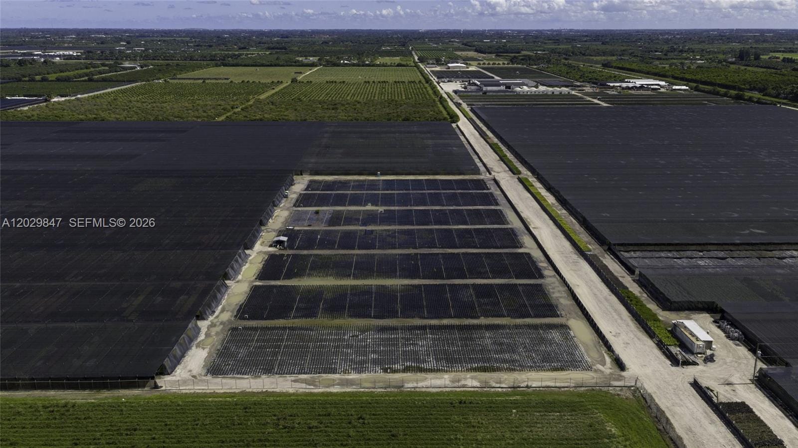 75 Acres Of Improved Agricultural Land For Sale — photo 8
