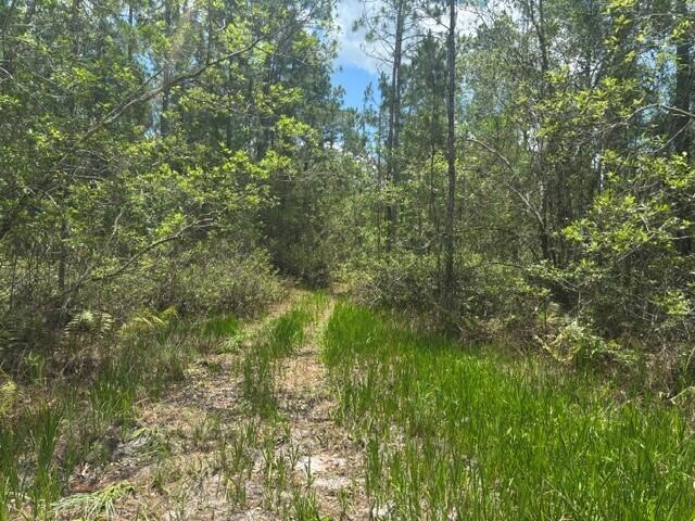 0 Water Road, Clermont, FL 33868, Clermont