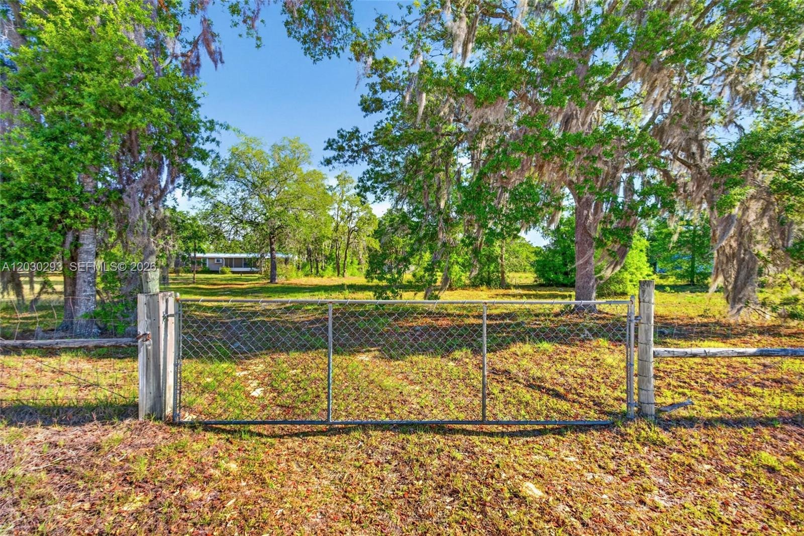 11751 NE 116th Street, FL 32618 photo 13