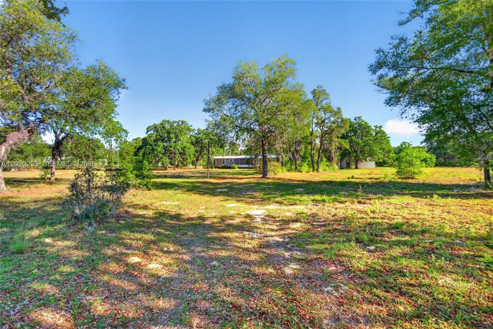 11751 NE 116th Street, FL 32618 photo 15