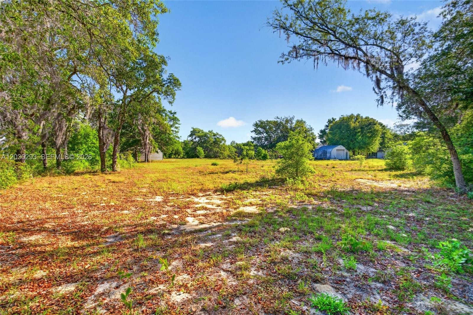11751 NE 116th Street, FL 32618 photo 16
