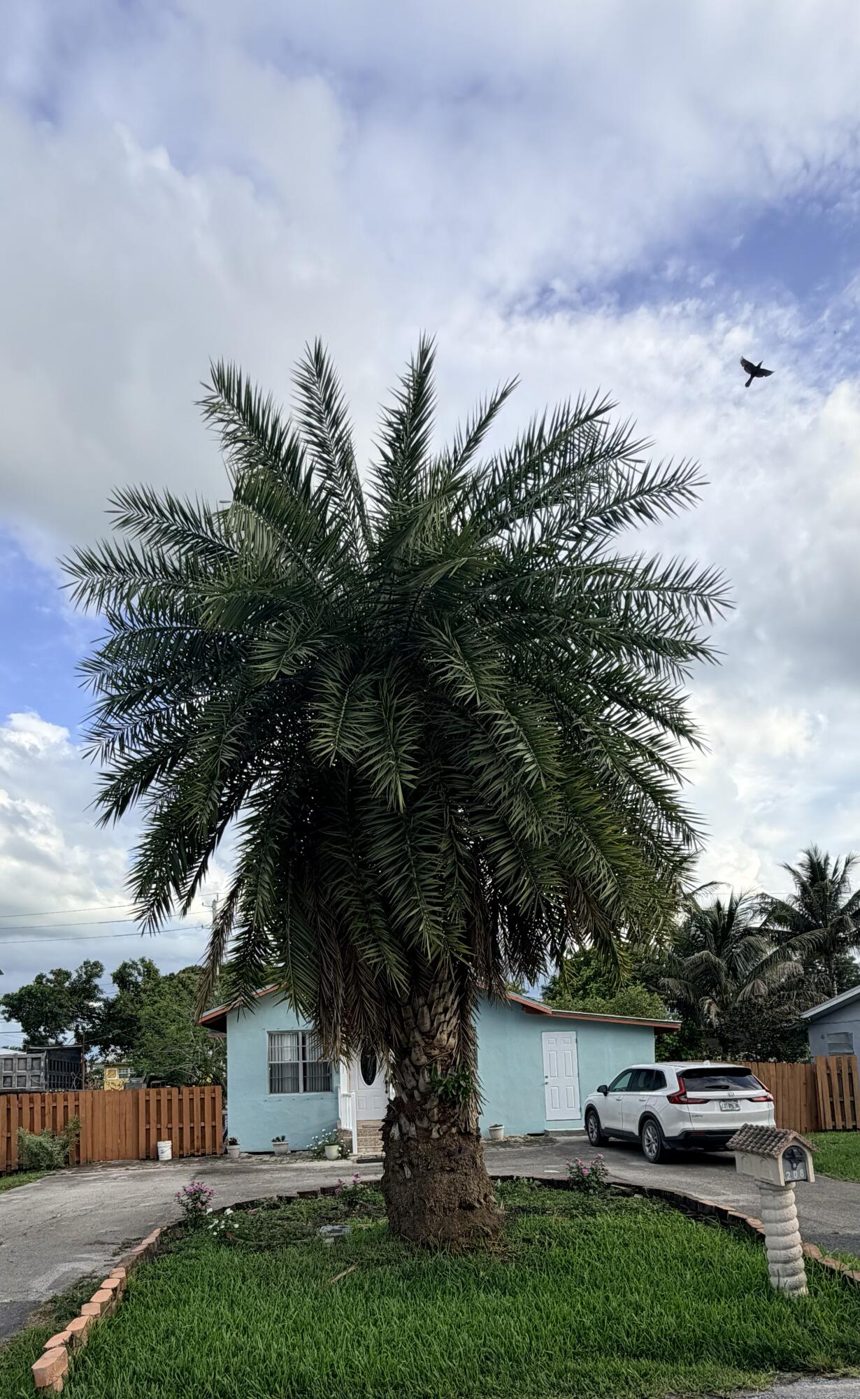 208 NW Avenue H Place, Belle Glade, FL 33430, Belle Glade