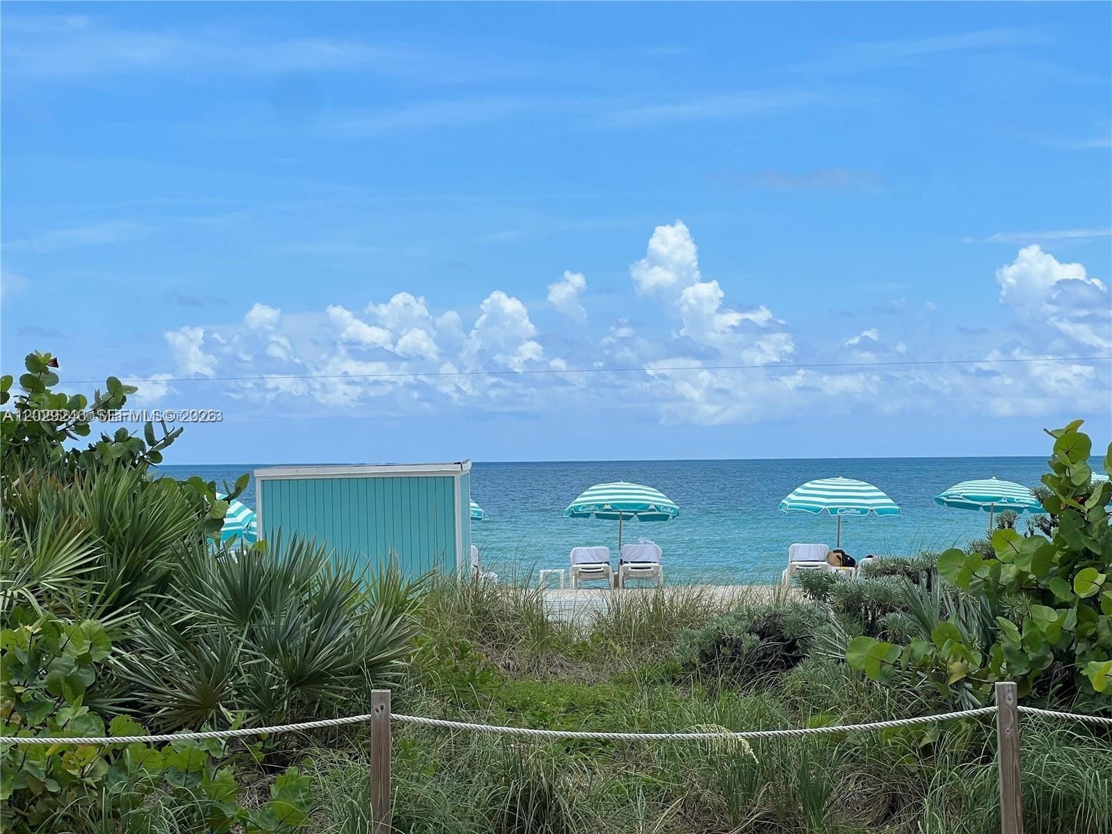 6799 Collins Avenue 1501 — photo 8