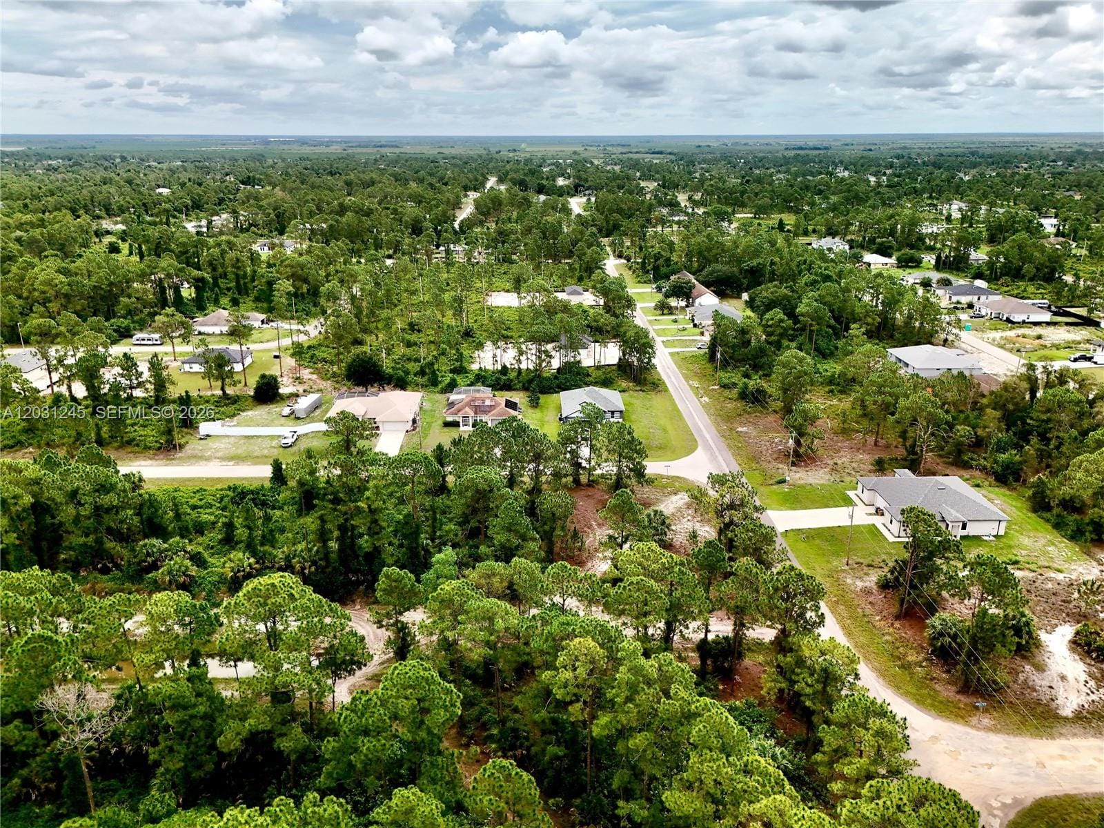 721 Pinecastle Drive, Lehigh Acres, FL 33974 photo 18