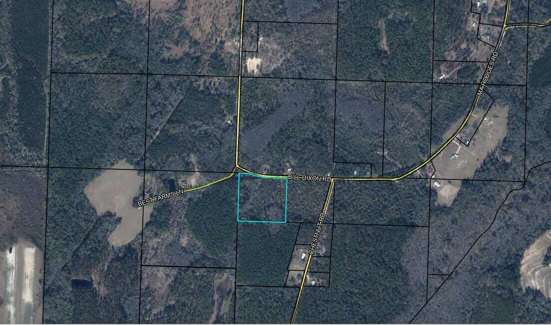 0 Bill Dixon Road, Graceville, FL 32440, Graceville