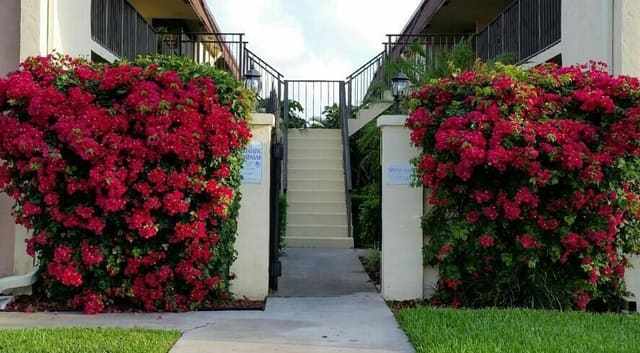 120 N M Street L, Lake Worth Beach, FL 33460