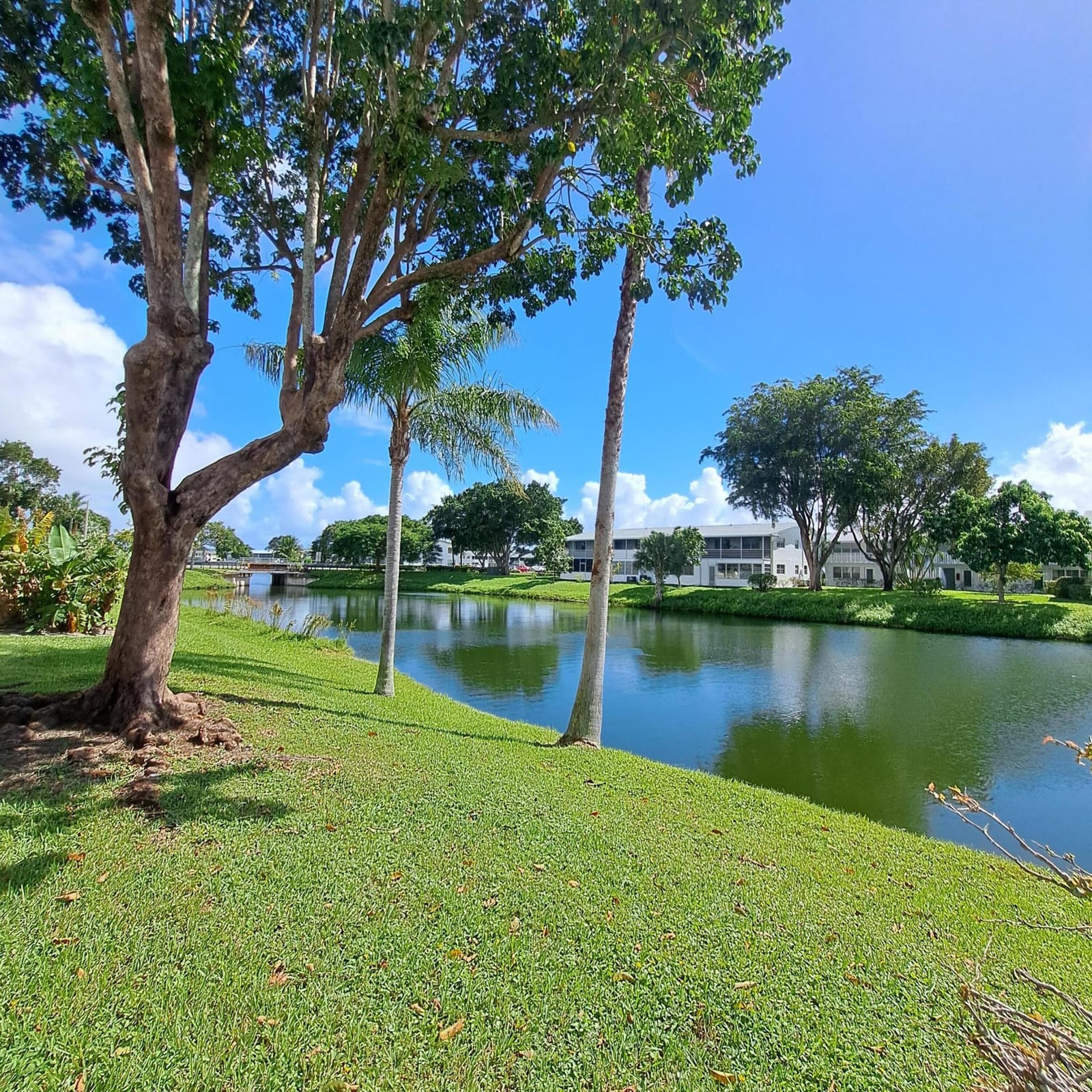 53 Northampton C, West Palm Beach, FL 33417 photo 21