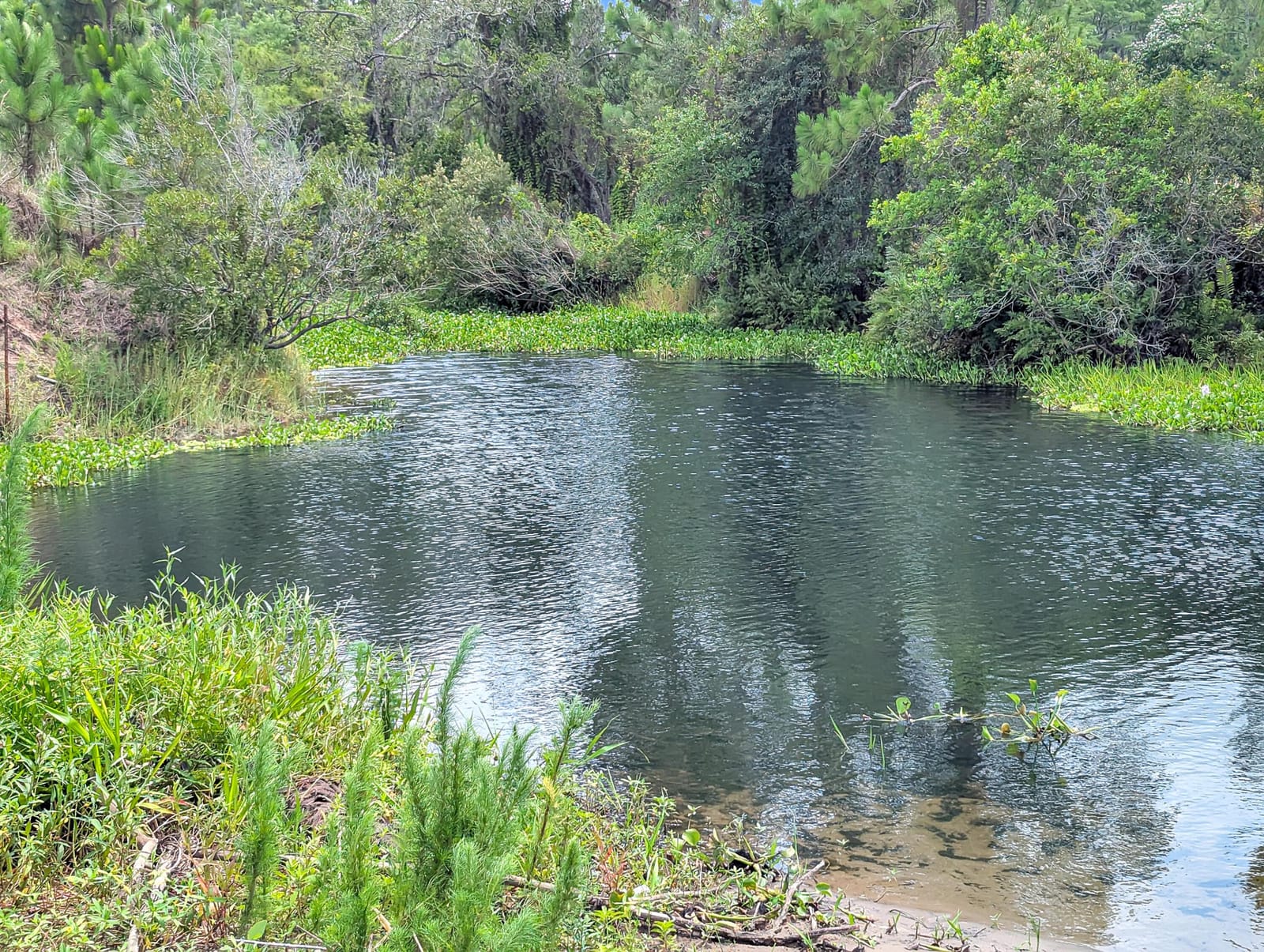 0 Holopaw Groves Road, St. Cloud, FL 34771 photo 30