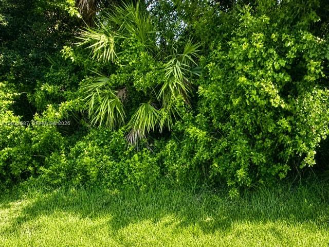 1585 SW Mullinax Avenue, Port St. Lucie, FL 34953, Port St Lucie