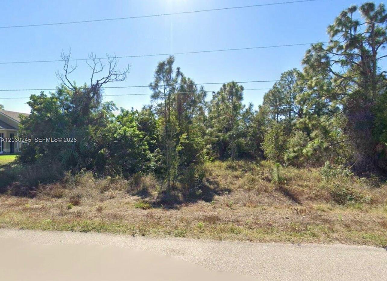 442 Raymer Street, Lehigh Acres, FL 33974, Lehigh Acres