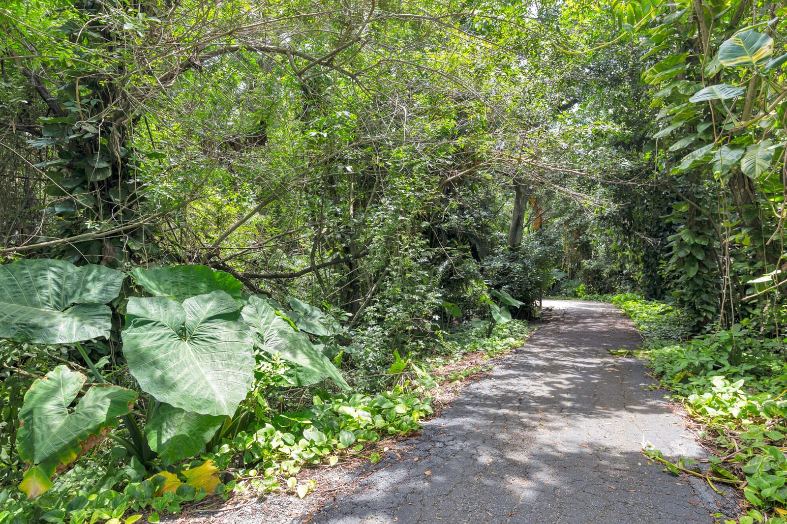 1008 Green Pine Boulevard H3, West Palm Beach, FL 33409 photo 18