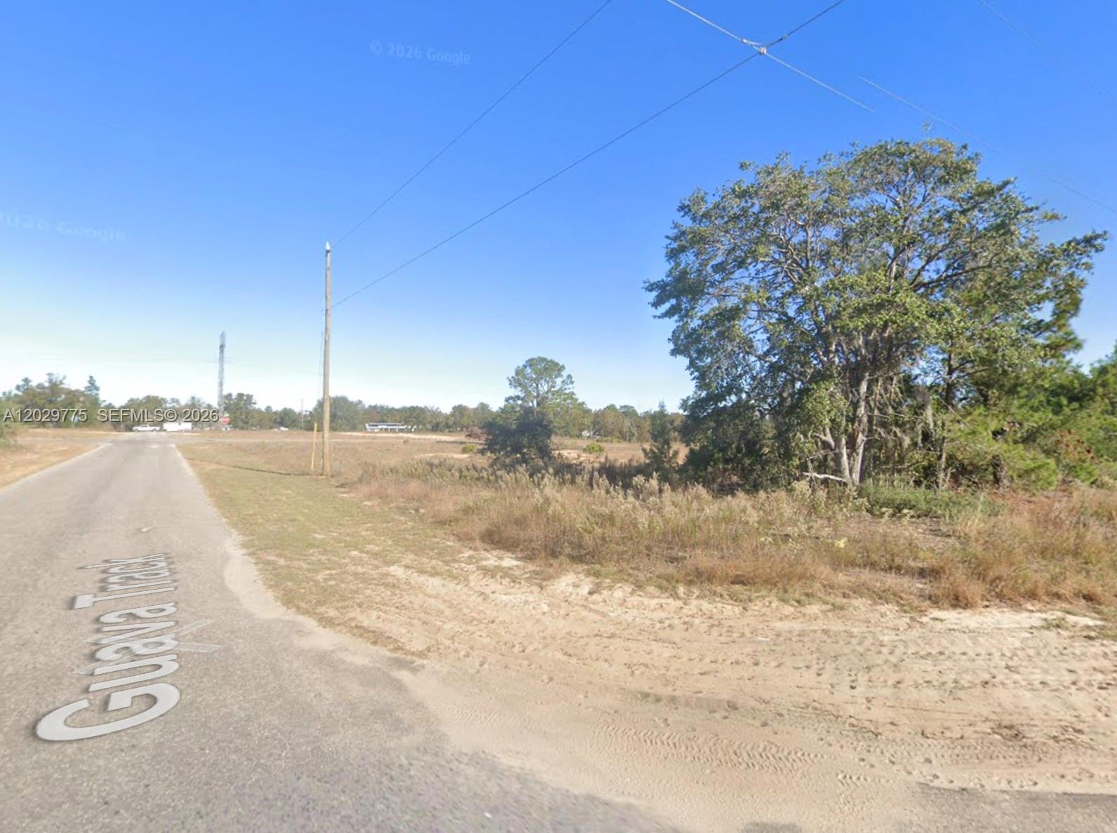 n/a N/a Fisher Run Trace, FL 32179, Ocklawaha