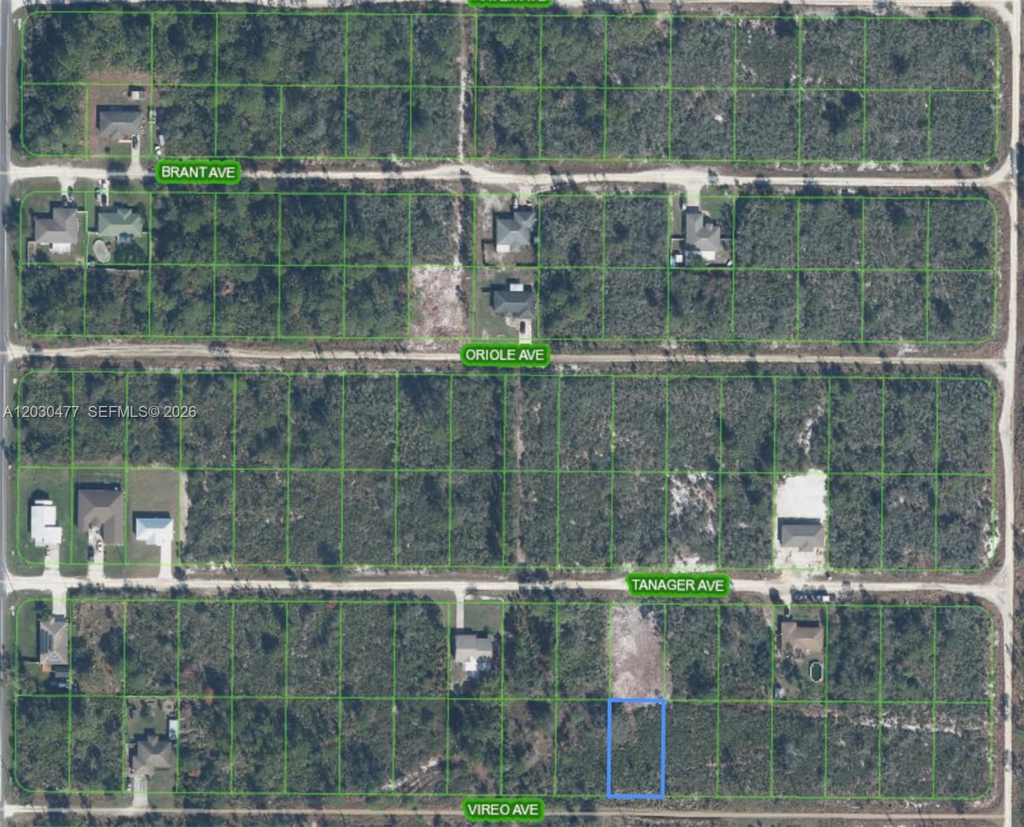 227 Vireo Avenue, Sebring, FL 33870, Sebring