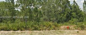 3011 W Dixon Road, Avon Park, FL 33825, Avon Park