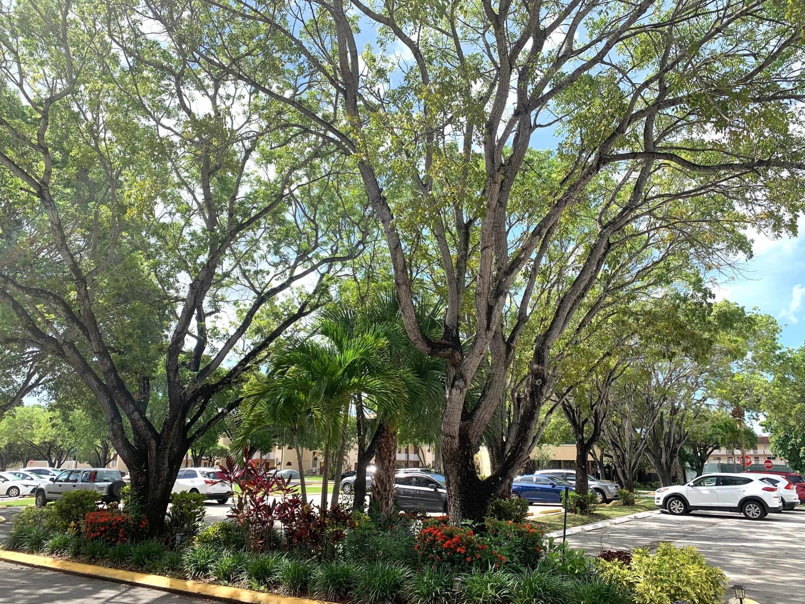 2801 N Pine Island Road 110, Sunrise, FL 33322 photo 24