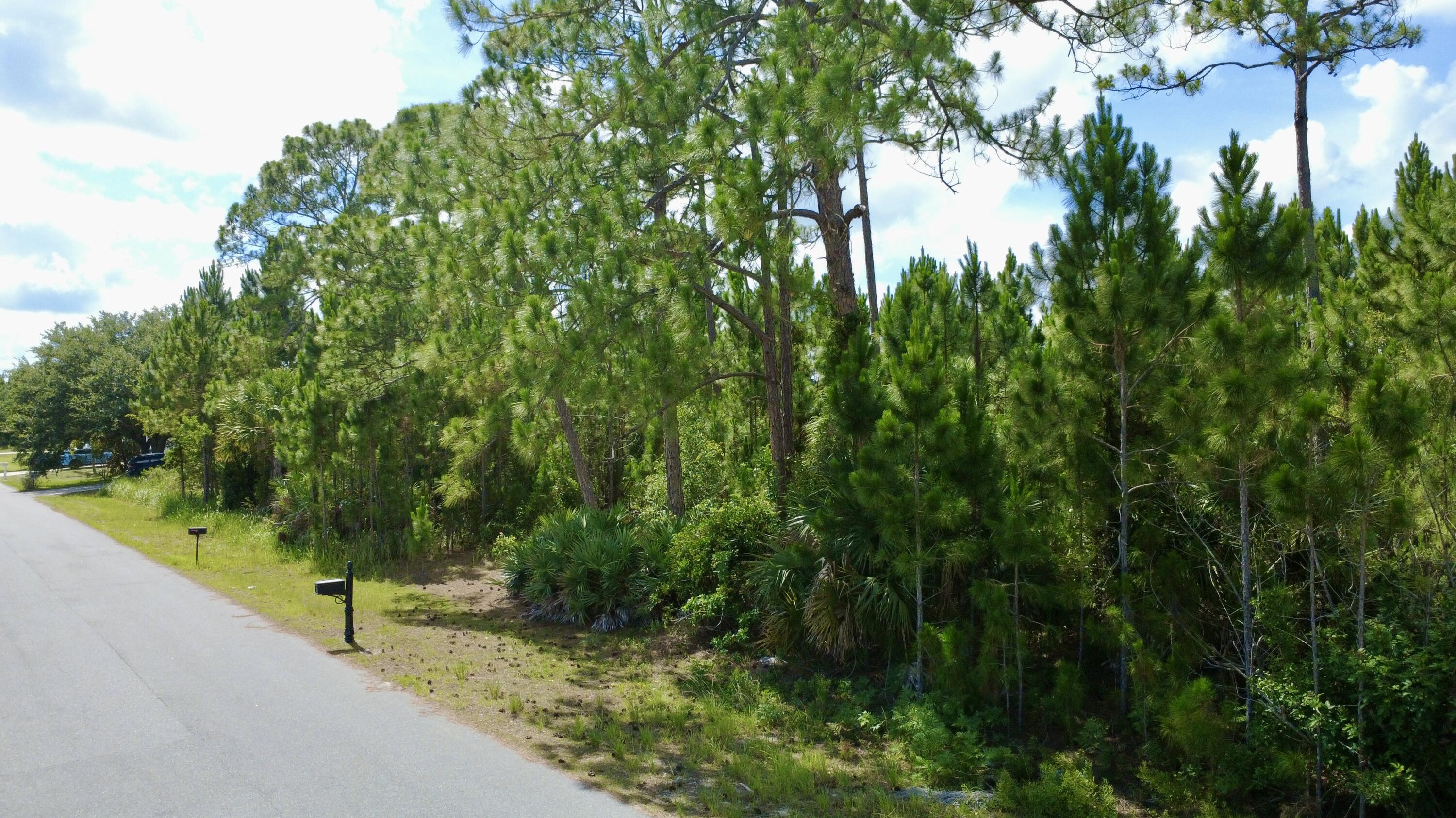 455 SE Dadeville St Street SE, Palm Bay, FL 32909, Palm Bay