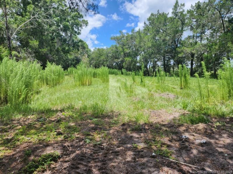 3300 SW Dunklin Avenue, Okeechobee, FL 34974 photo 10