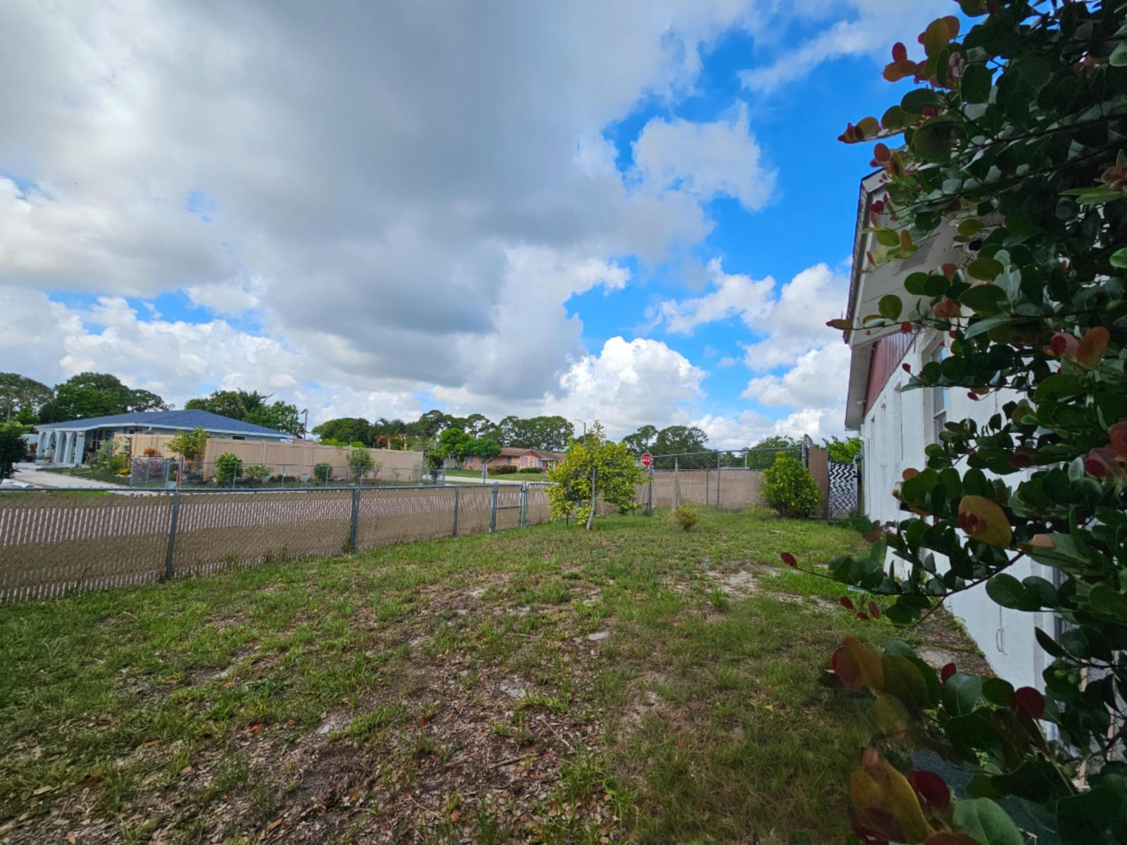773 E Ilene Rd Road E — photo 5