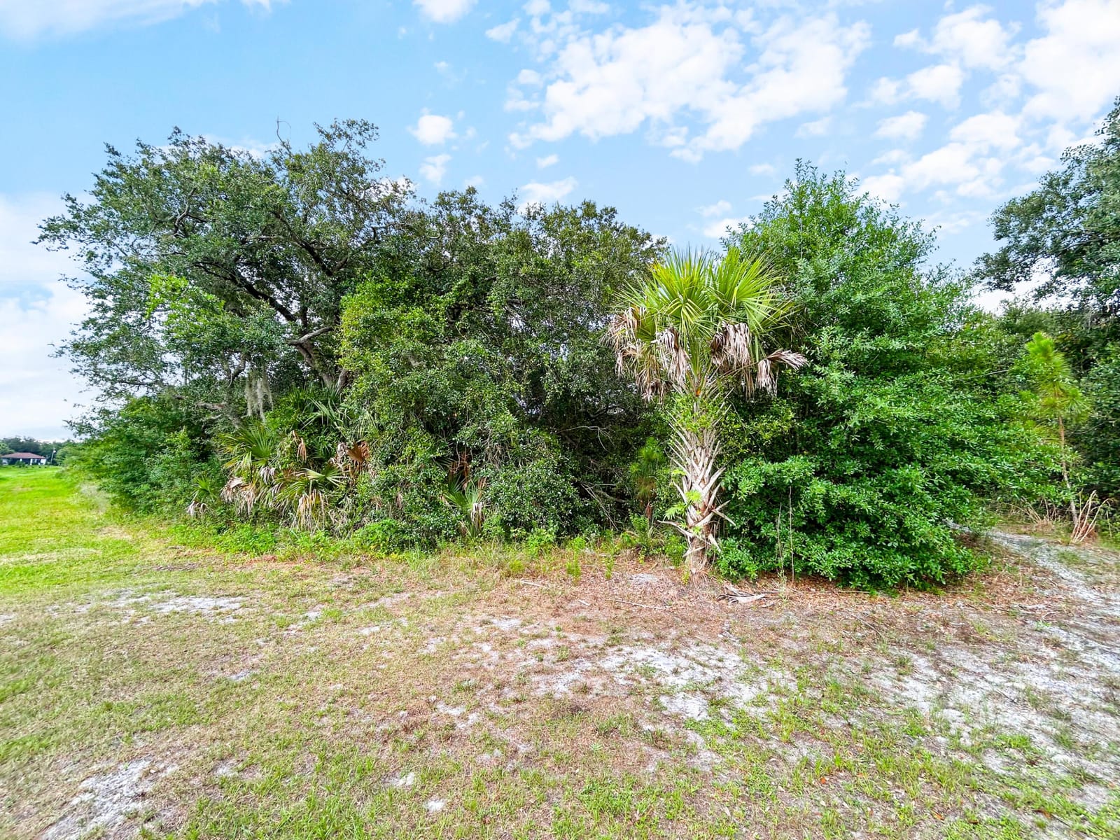 Ancient Ancient, North Port, FL 34286 photo 15