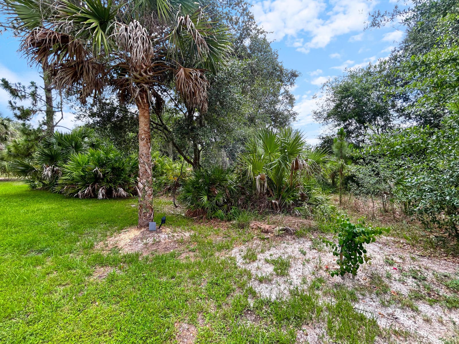 Ancient Ancient, North Port, FL 34286 photo 17
