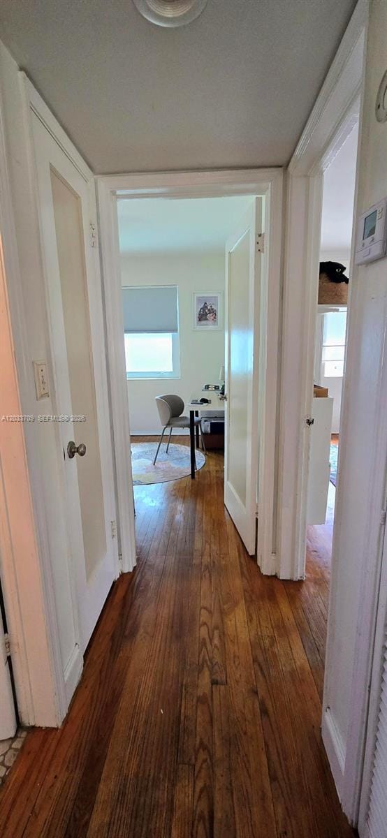 1135 NE 133 Rd Street, North Miami, FL 33161 photo 17