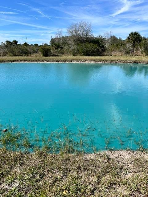 20641 NW 302nd Street, Okeechobee, FL 34972 photo 9